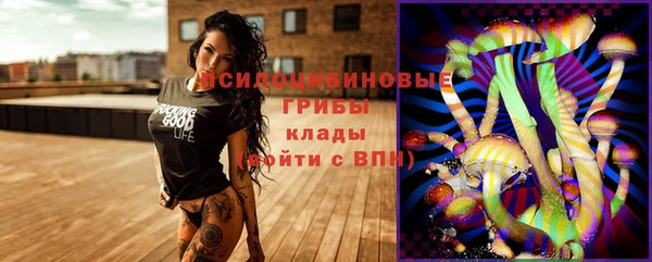 амф Алексин
